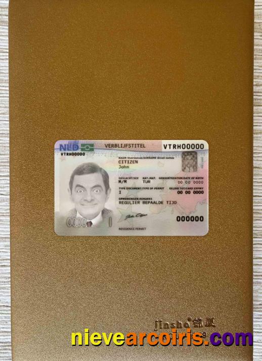 Netherlands residence permit photolook